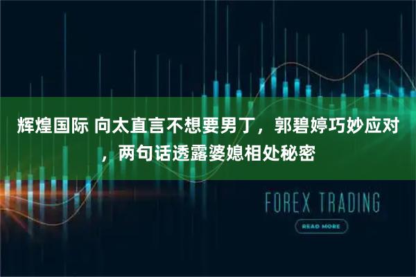 辉煌国际 向太直言不想要男丁，郭碧婷巧妙应对，两句话透露婆媳相处秘密