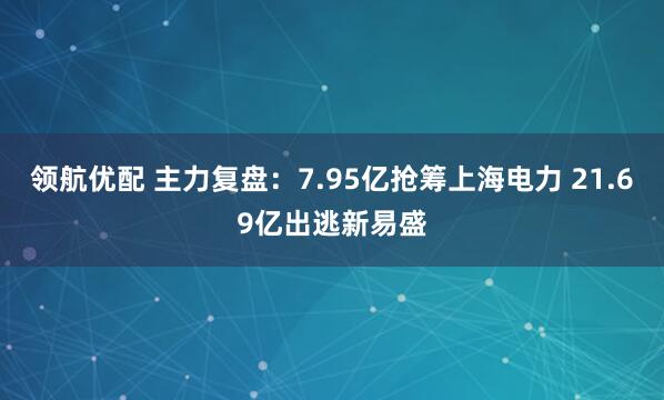 领航优配 主力复盘：7.95亿抢筹上海电力 21.69亿出逃新易盛