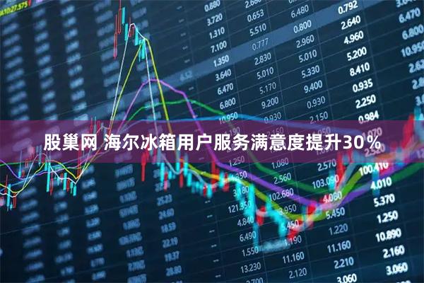 股巢网 海尔冰箱用户服务满意度提升30％