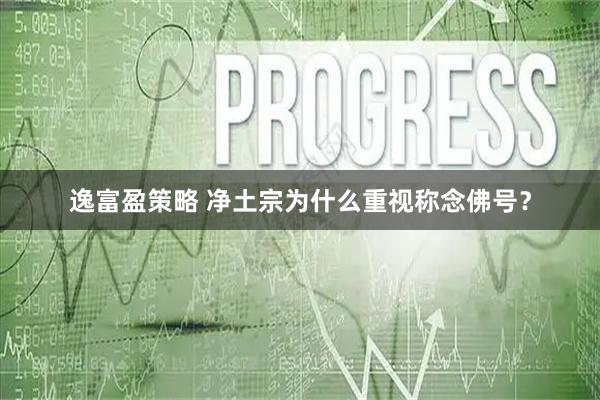 逸富盈策略 净土宗为什么重视称念佛号？